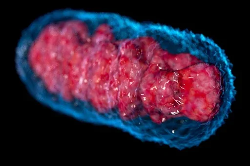 Decorative depiction of cancer metabolism.